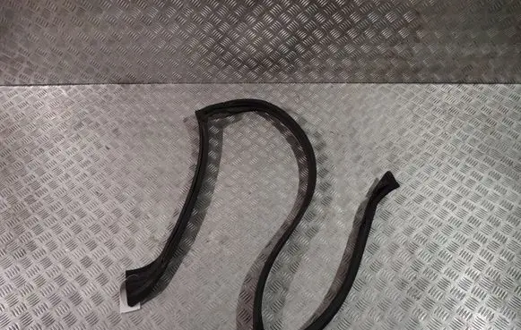 Ford Mustang V Rear door rubber seal (on body) 