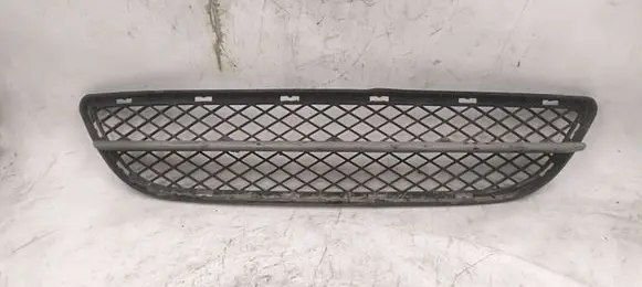 BMW 3 E90 E91 Front bumper lower grill 7134074