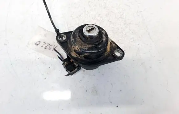 BMW 7 E38 Tailgate exterior lock 51248150240 51.24-8.150240