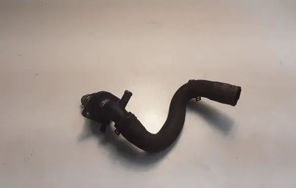 Opel Insignia B Thermostat/thermostat housing 55505571