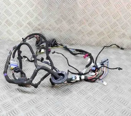 Front door wiring loom