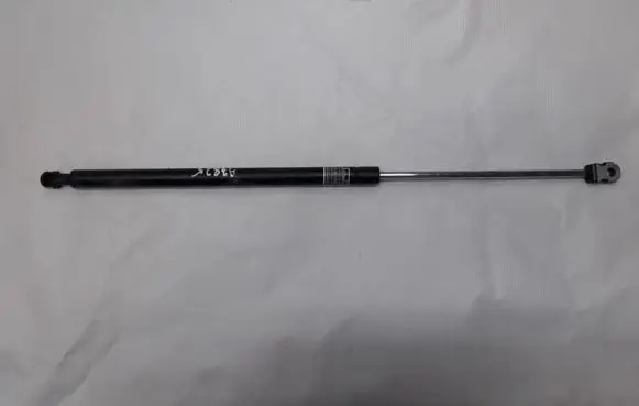 Tailgate/trunk strut/damper
