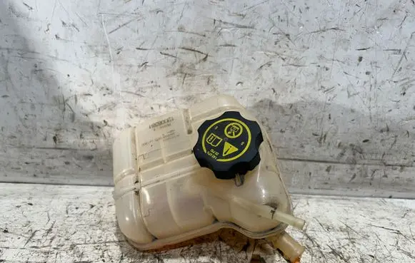 Opel Insignia A Coolant expansion tank/reservoir 13220124