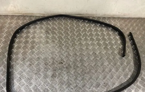 Nissan Qashqai Front door rubber seal 