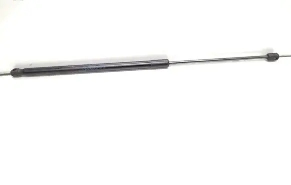 Ford Puma Tailgate/trunk strut/damper L1TBS406A10AB