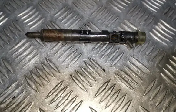 Renault Scenic II - Grand scenic II Fuel injector EJBR02101Z 8200240244 8200049876