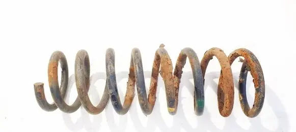 Rear coil spring