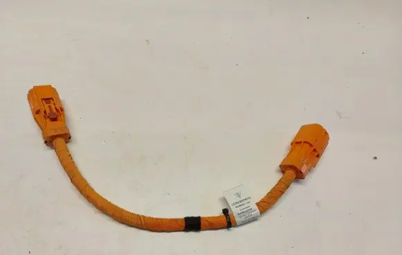 Porsche Taycan 9J1 High voltage cable 9J1971079AJLK01