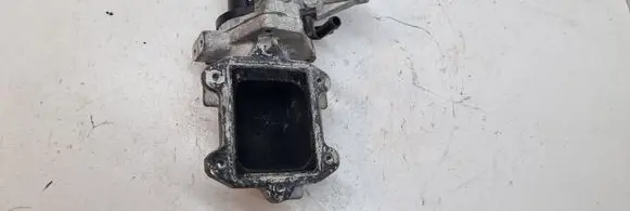 Hyundai H-1, Starex, Satellite EGR valve 284104A700