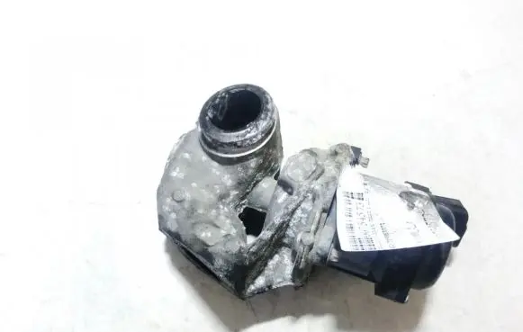 Ford Focus C-MAX EGR valve 215983373 316400029