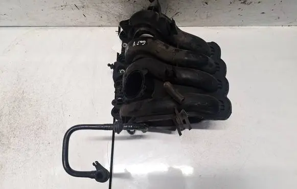 Volkswagen Golf V Intake manifold 036129709