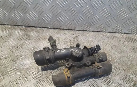 Thermostat/thermostat housing