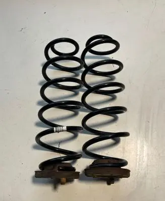 Rear coil spring