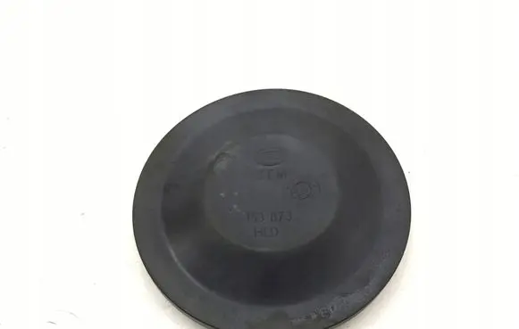 Volkswagen PASSAT B6 Headlight/headlamp dust cover 153873