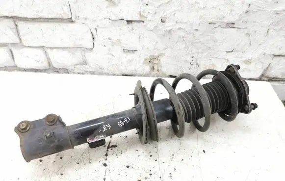 Hyundai ix35 Front shock absorber with coil spring 546502Y610