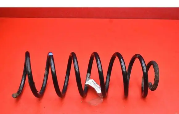 Rear coil spring