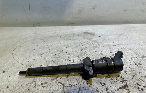 Ford C-MAX I Fuel injector 0445110239