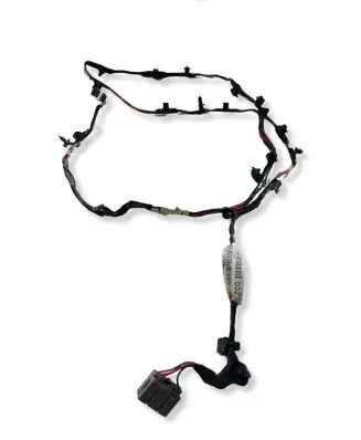 Dodge RAM 1500 DS Other wiring loom P68343002AA