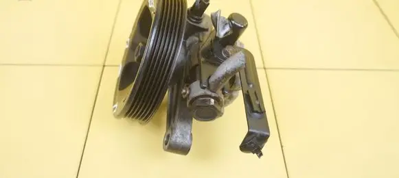 KIA Carens II Power steering pump G4FC