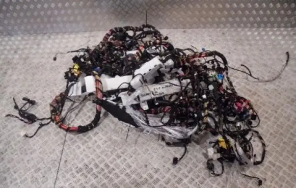 BMW X6 E71 Wiring harness 