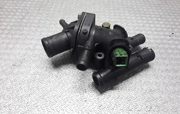 Thermostat/thermostat housing