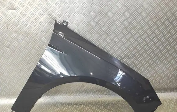 Ford Focus Fender