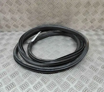 BMW X1 F48 F49 Rubber seal rear door 7349665