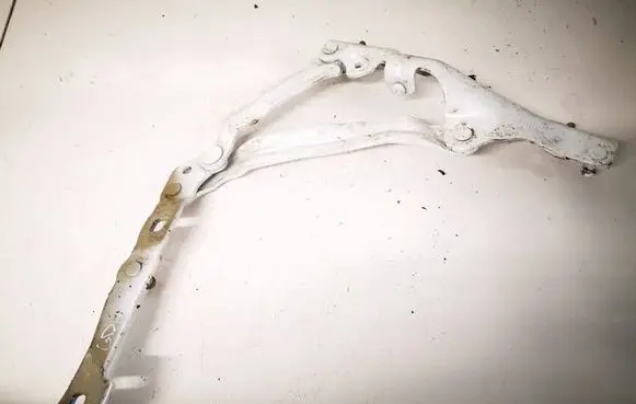 Tesla Model 3 Tailgate/trunk/boot hinge 2310RH