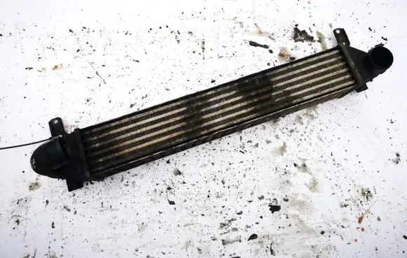Seat Alhambra (Mk1) Intercooler radiator 7m3145805