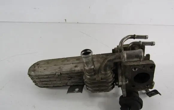 Skoda Octavia Mk2 (1Z) EGR valve cooler 038131513
