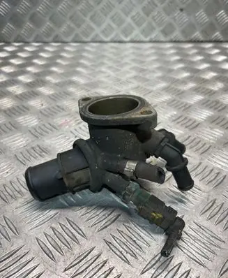 Thermostat/thermostat housing