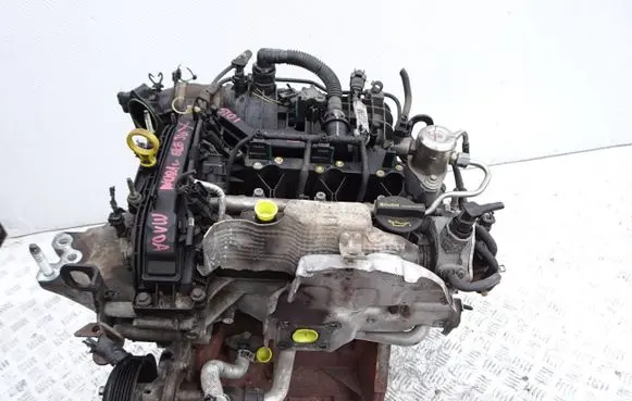 Ford Focus Engine M1DA