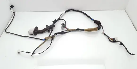 Front door wiring loom