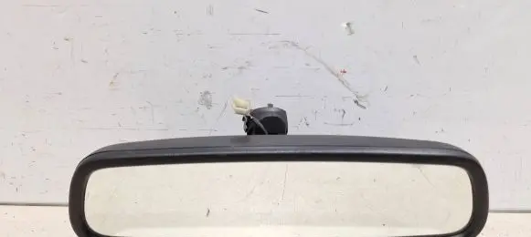 Ford Focus Rear view mirror (interior) 015624