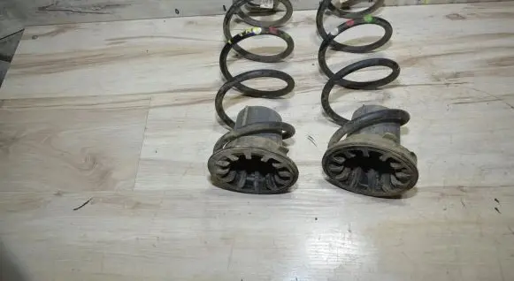 Rear coil spring