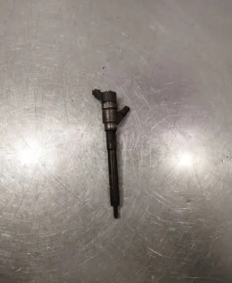 Hyundai Santa Fe Fuel injector 0445110254 3380027800