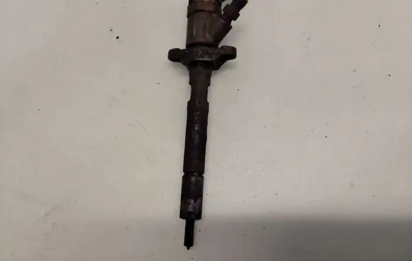 Ford Fiesta Fuel injector 0445110239