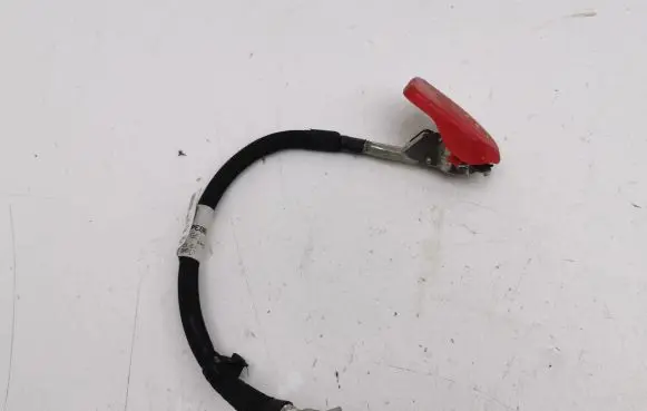 Citroen C4 III e-C4 Positive cable (battery) 9834292680
