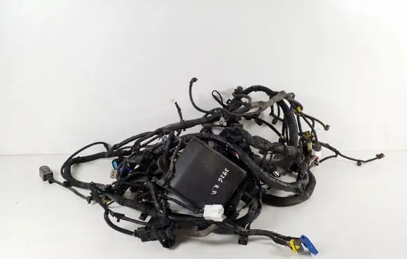 KIA Sportage Fuse module