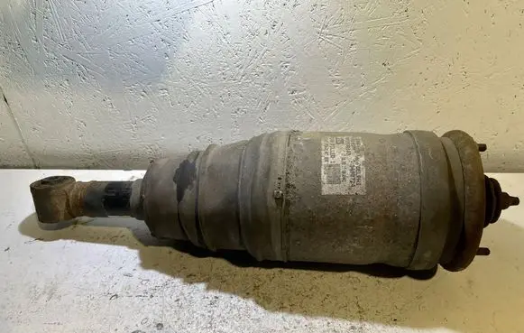 Land Rover Range Rover Sport L320 Rear shock absorber/damper RPD500840 3498724