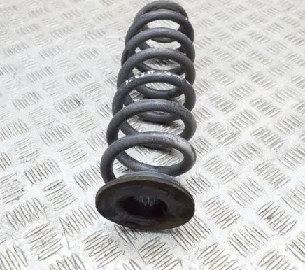 Opel Insignia B Rear coil spring 84198854