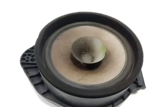 Chevrolet Volt I Rear door speaker 227594D4 434107864061