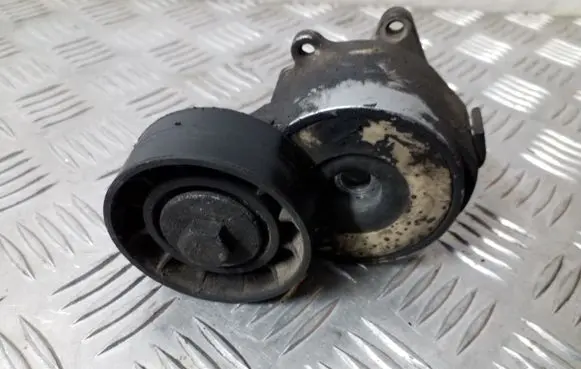 Fiat Croma Generator/alternator belt tensioner TF058F