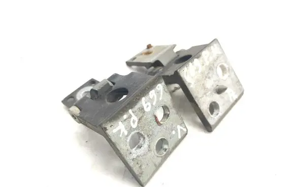 Citroen C3 Pluriel Front door hinges set EYPC