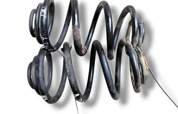 Renault Trafic II (X83) Rear coil spring 550202870R