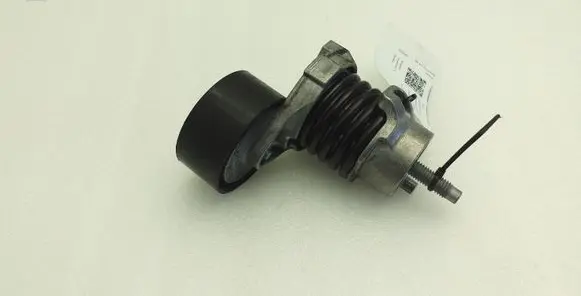 Nissan Juke I F15 Generator/alternator belt tensioner 117506193R