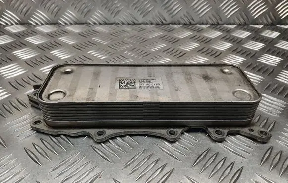Mercedes-Benz Vito Viano W639 Oil filter mounting bracket 6421800165