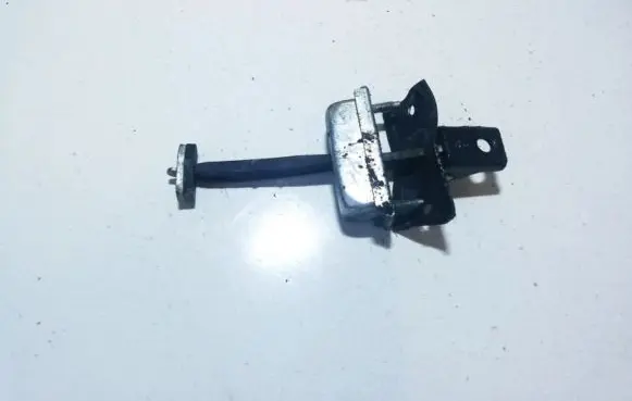 Ford Focus C-MAX Rear door check strap stopper