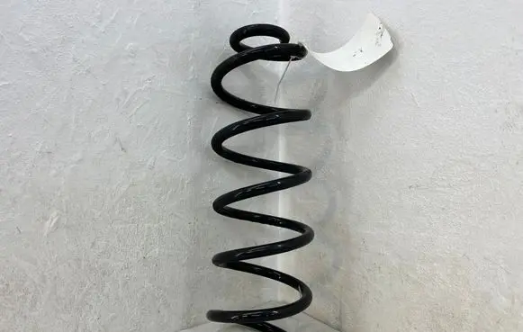 Rear coil spring