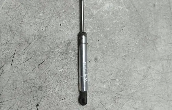 Tailgate strut